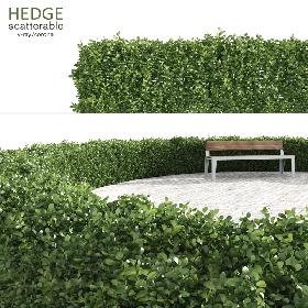 Scatterable Hedge
